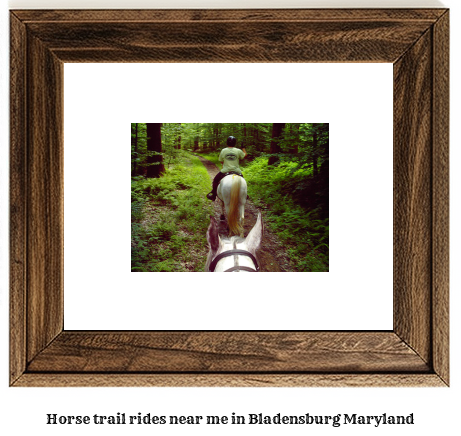 horse trail rides near me in Bladensburg, Maryland